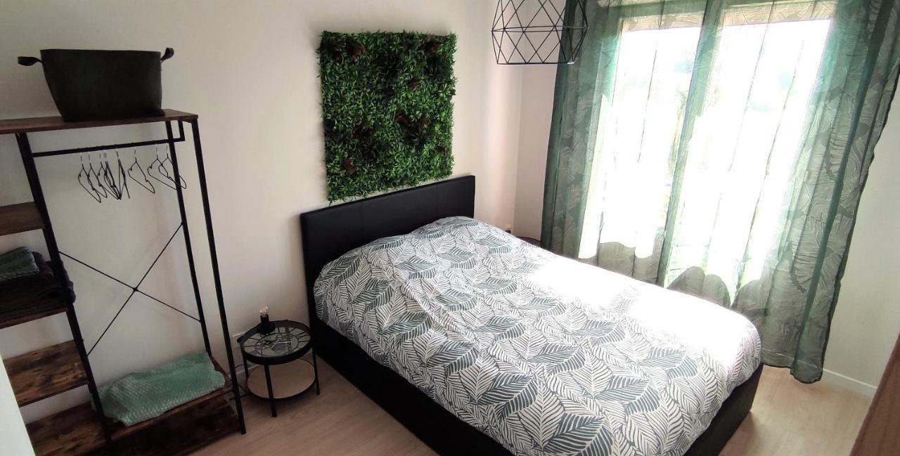 Jungly - Moderne, Cocooning, Calme, Nature